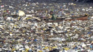 garbage gyre in Pacific Ocean